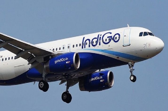 Indigo Airline Check-in Procedure
